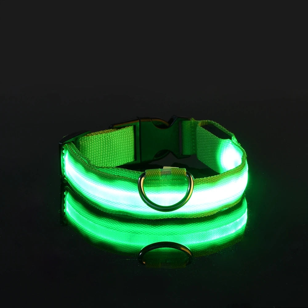 GlowGuard Hundehalsband