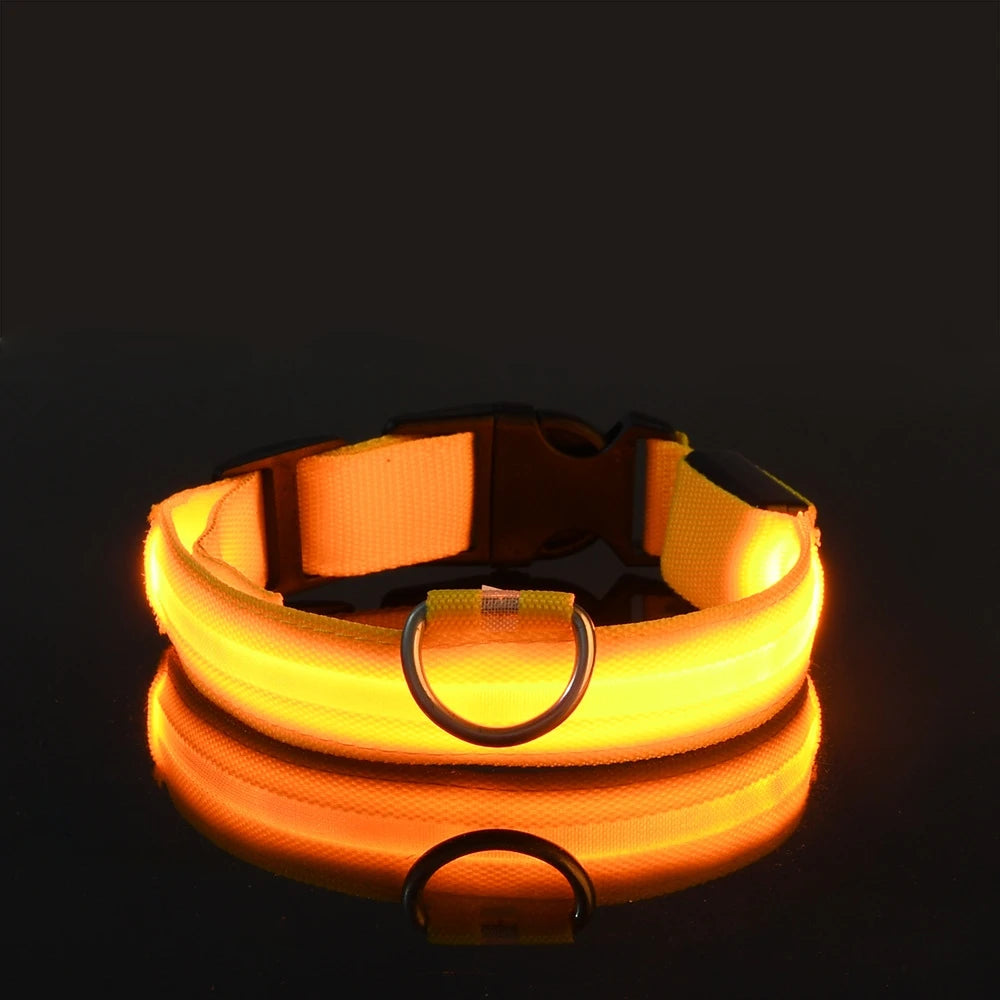 GlowGuard Hundehalsband