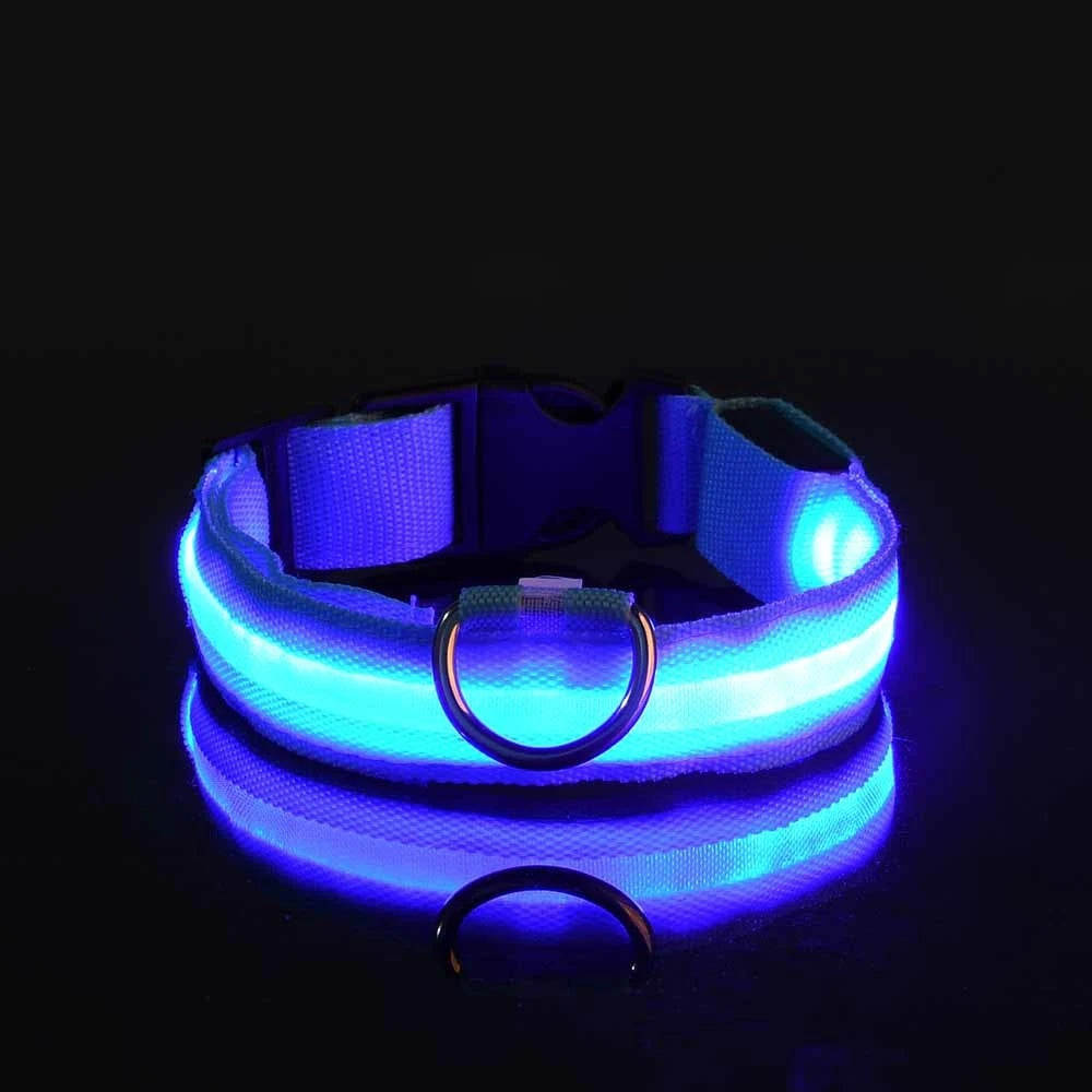 GlowGuard Hundehalsband