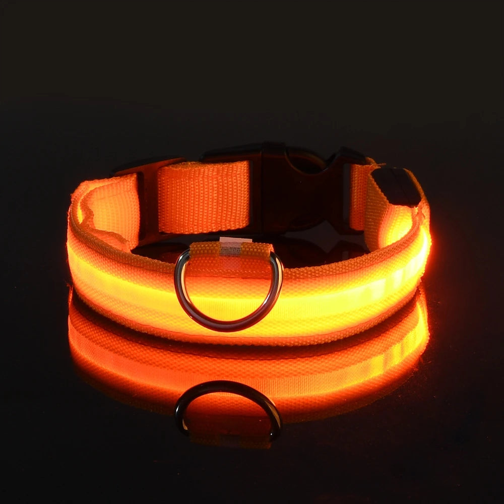 GlowGuard Hundehalsband