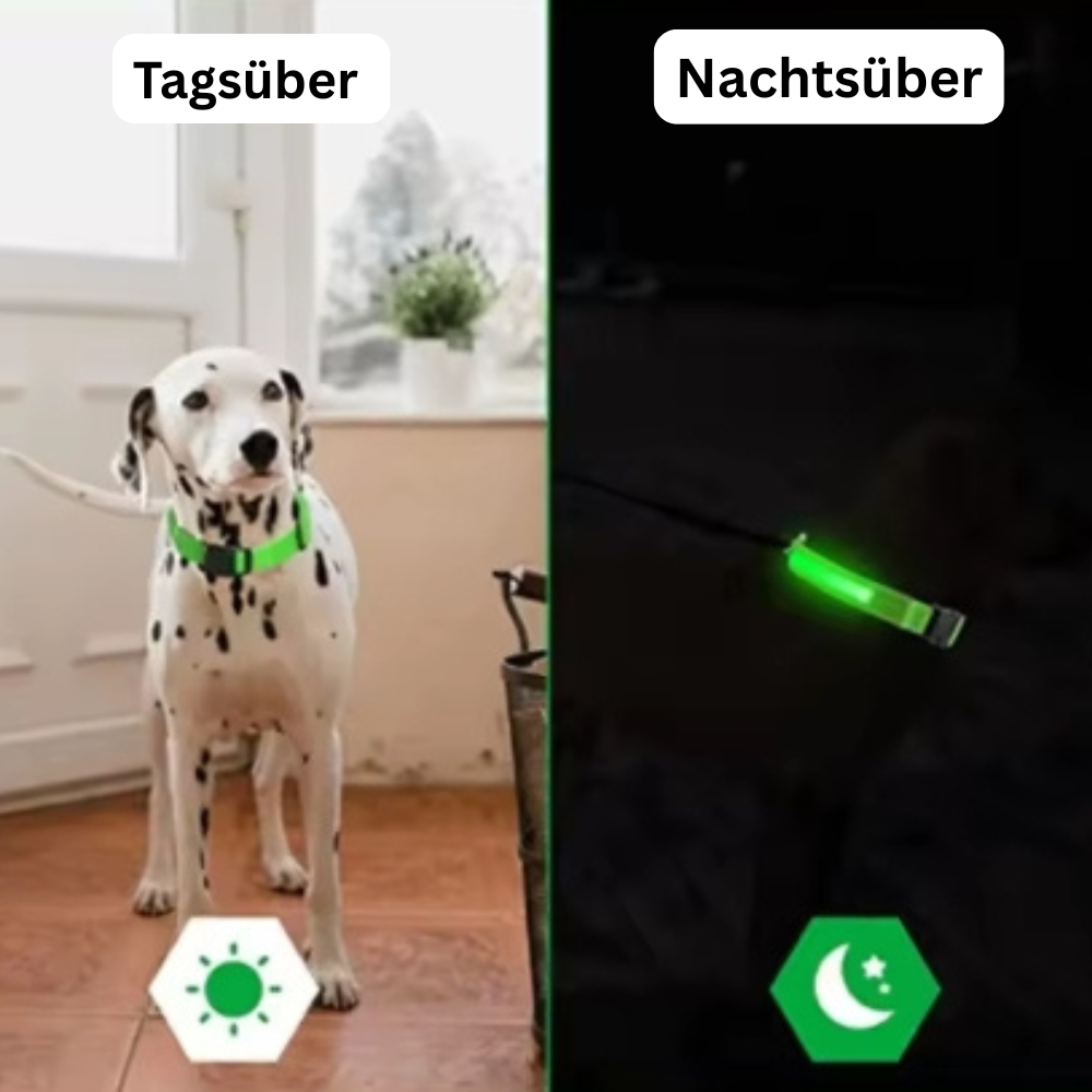 GlowGuard Hundehalsband